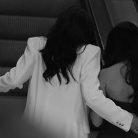 lim.ark66