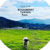 rb.farm_official