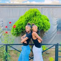original sound - thee_bee_twins1