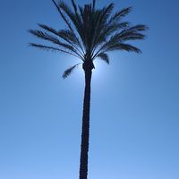 ray54_4