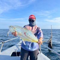 bunyi asal - F A A🦋