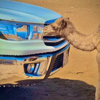 الصوت الأصلي