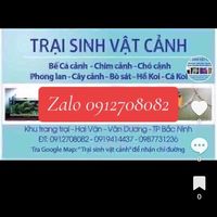 traisinhvatcanh_bacninh