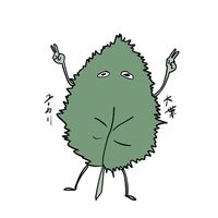 yu_kari45