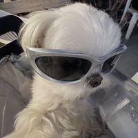 original sound - Sj_chan🌠