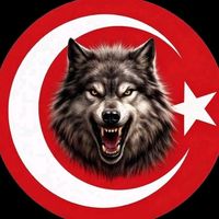 bozkurt_bey.0