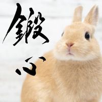 mika.shodo1208