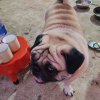 nhạc nền - Cường????????