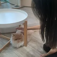 original sound - jiayi._.zzz