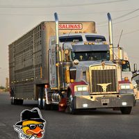 josegueromayorga12