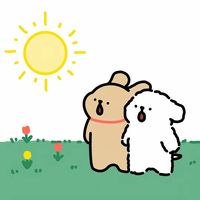 user9243221109012