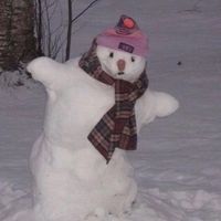 nu_llx