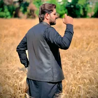 original sound - ranahashir4132