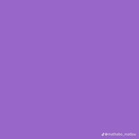 lethabbm80a