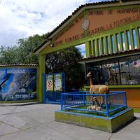 zoologico.latotorilla