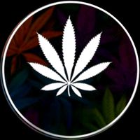 online_page_
