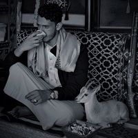 الصوت الأصلي