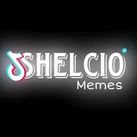 original sound - shelcio.memes4