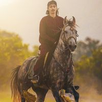 abdulghani2597
