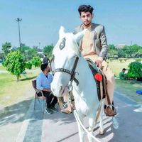hammad_chadhar_