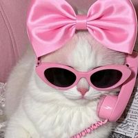 katrynna_ofc