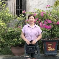 nhạc nền - Người Lạ