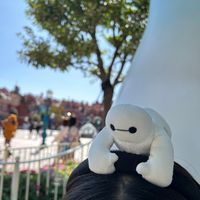 baymax_tanu