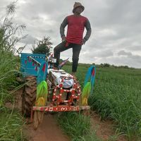 user8013153028265