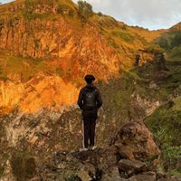 uprit._