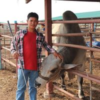 tharphong2