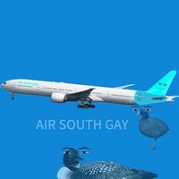 airsouthgay1