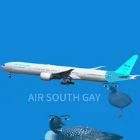 original sound - airsouthgay1