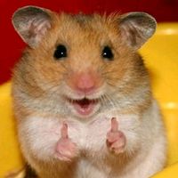 nhạc nền - Jerry🐁💢