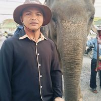 tes.nenh