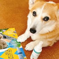 original sound - ayutomomilk