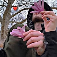 الصوت الأصلي