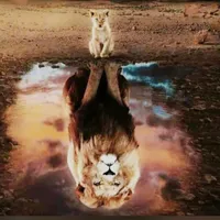 original sound - pstsamuelkasongowalesa