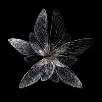 original sound - lxqzv8