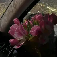 original sound - user9242609471619