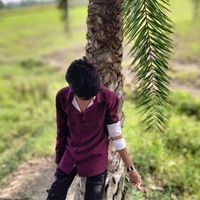 mdtorikul_2597