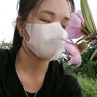 nhạc nền - Dung Lạc 48
