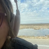 roumyssa.hammedi