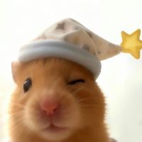 nhạc nền - tao là chip ꔫ