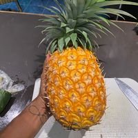 thechorequeen