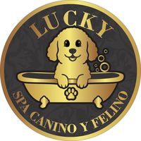 lucky_spa64
