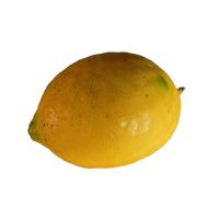 primoizan