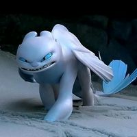 original sound - RaccooN