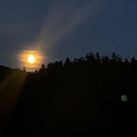 オリジナル楽曲 - あほ毛