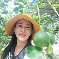 សំឡេងដើម - គន្ធា.លក់ផ្លែឈើ