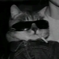 original sound - mellowcholic_